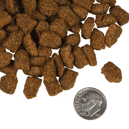 Fromm Four-Star Dry Dog Food - Highlander Beef, Oats, 'N Barley - 12lb Bag